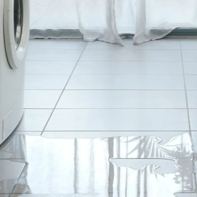 Appliance Leak Cleanup in Louisa, VA