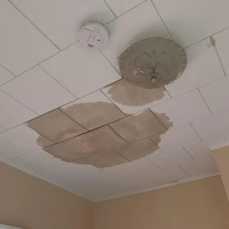 Ceiling Water Damage Repair in Louisa, VA
