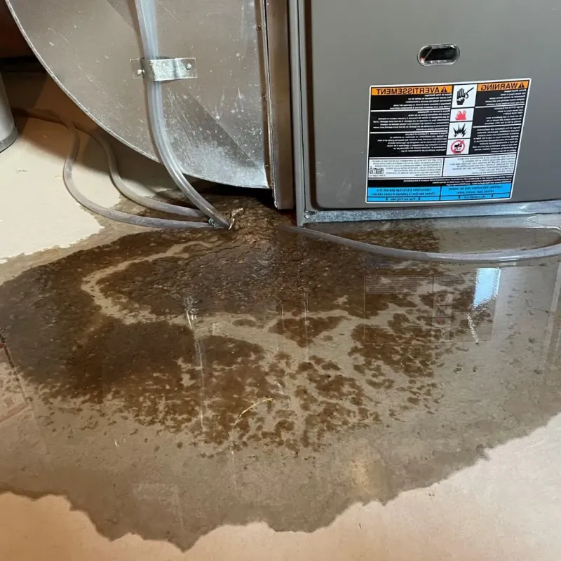 Pipe Burst and Leak Restoration in Louisa, VA