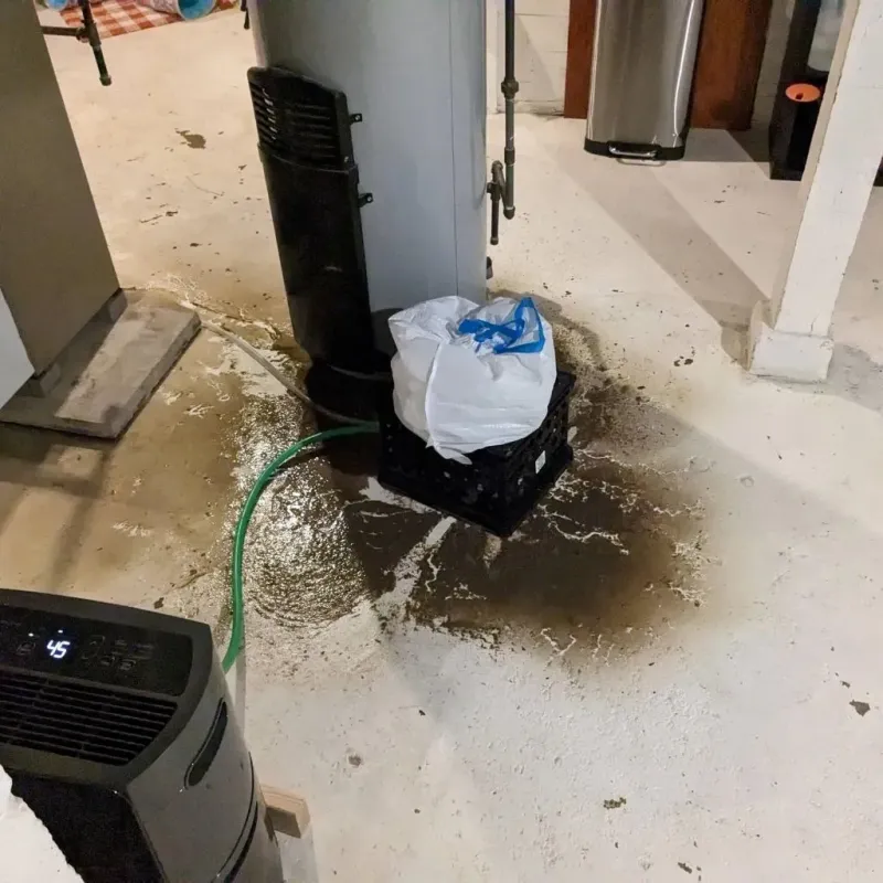 Sewage Backup Cleanup Service in Louisa, VA
